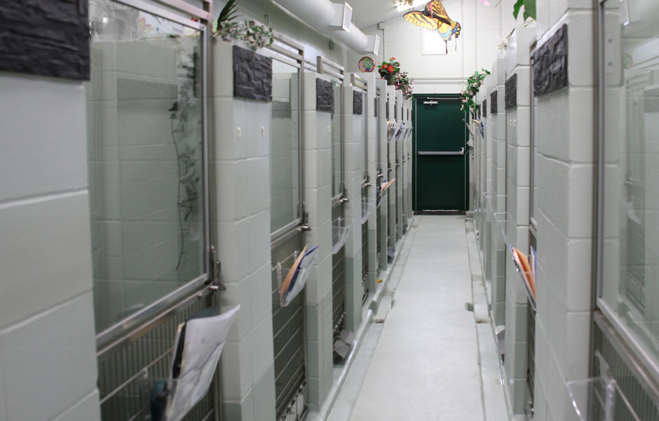 Boarding facility