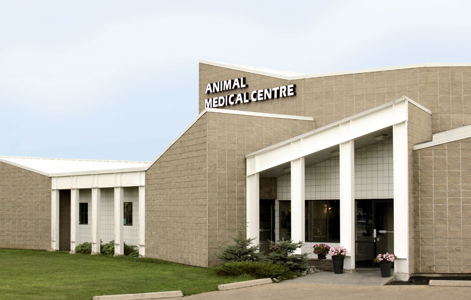 Animal Medical Centre exterior on Parsons Road NW, Edmonton