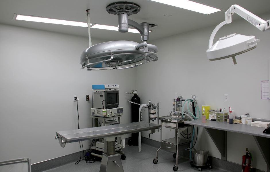 Surgery suite