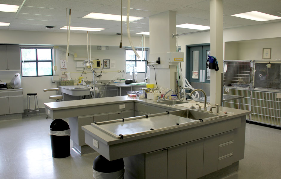 Treatment area